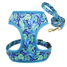 Printed Dog Harness Leash Set | Soft Mesh | Adjustable Walking Lead - CurliTail