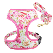 Printed Dog Harness Leash Set | Soft Mesh | Adjustable Walking Lead - CurliTail