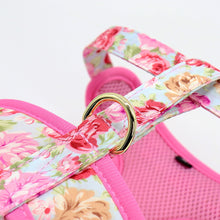 Printed Dog Harness Leash Set | Soft Mesh | Adjustable Walking Lead - CurliTail