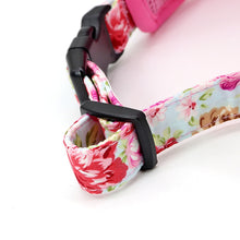 Printed Dog Harness Leash Set | Soft Mesh | Adjustable Walking Lead - CurliTail