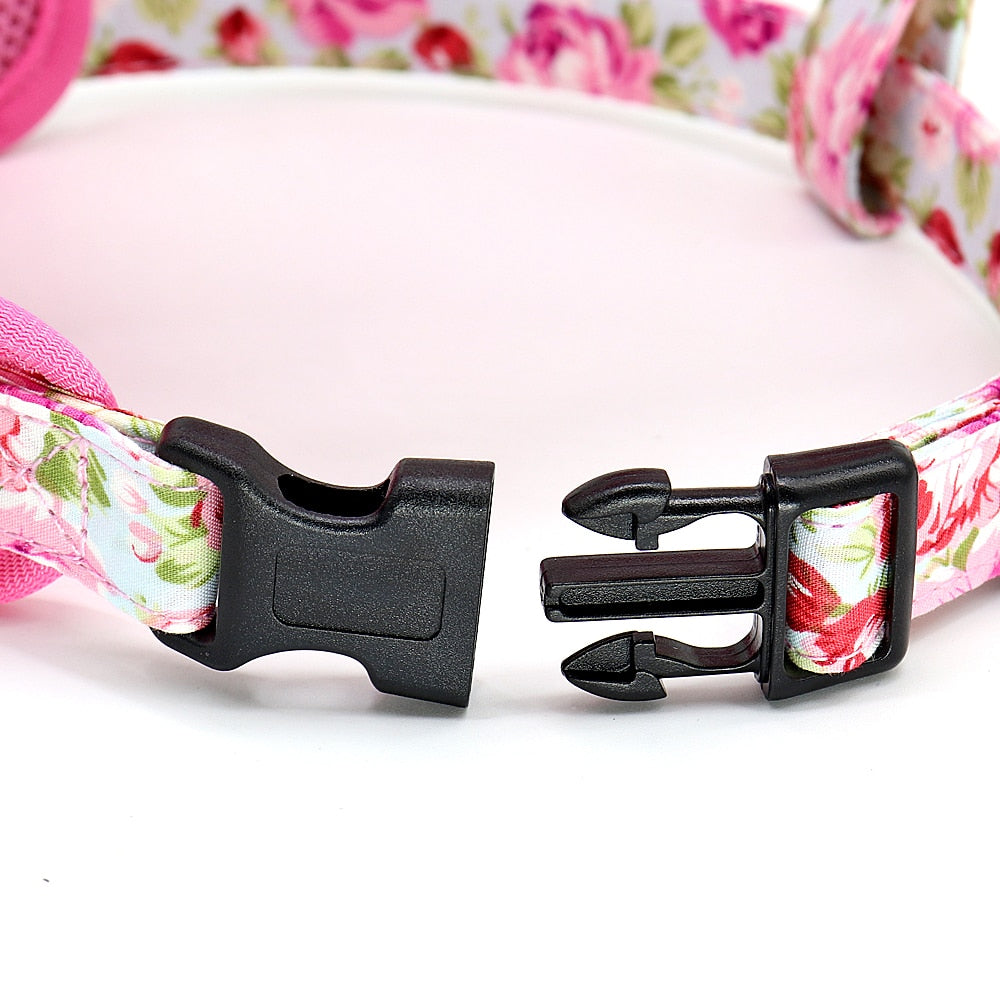 Printed Dog Harness Leash Set | Soft Mesh | Adjustable Walking Lead