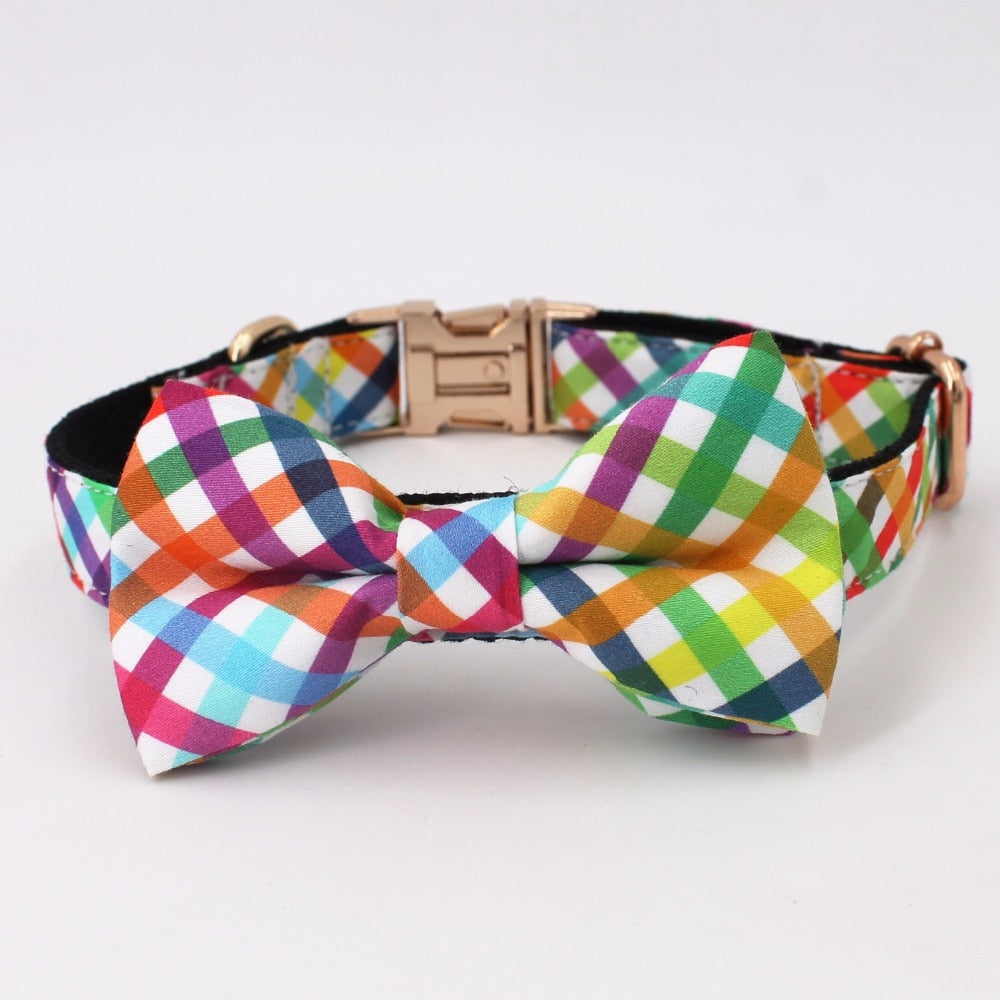 Fashion Colorful Personalized Dog ID Collar Leash set