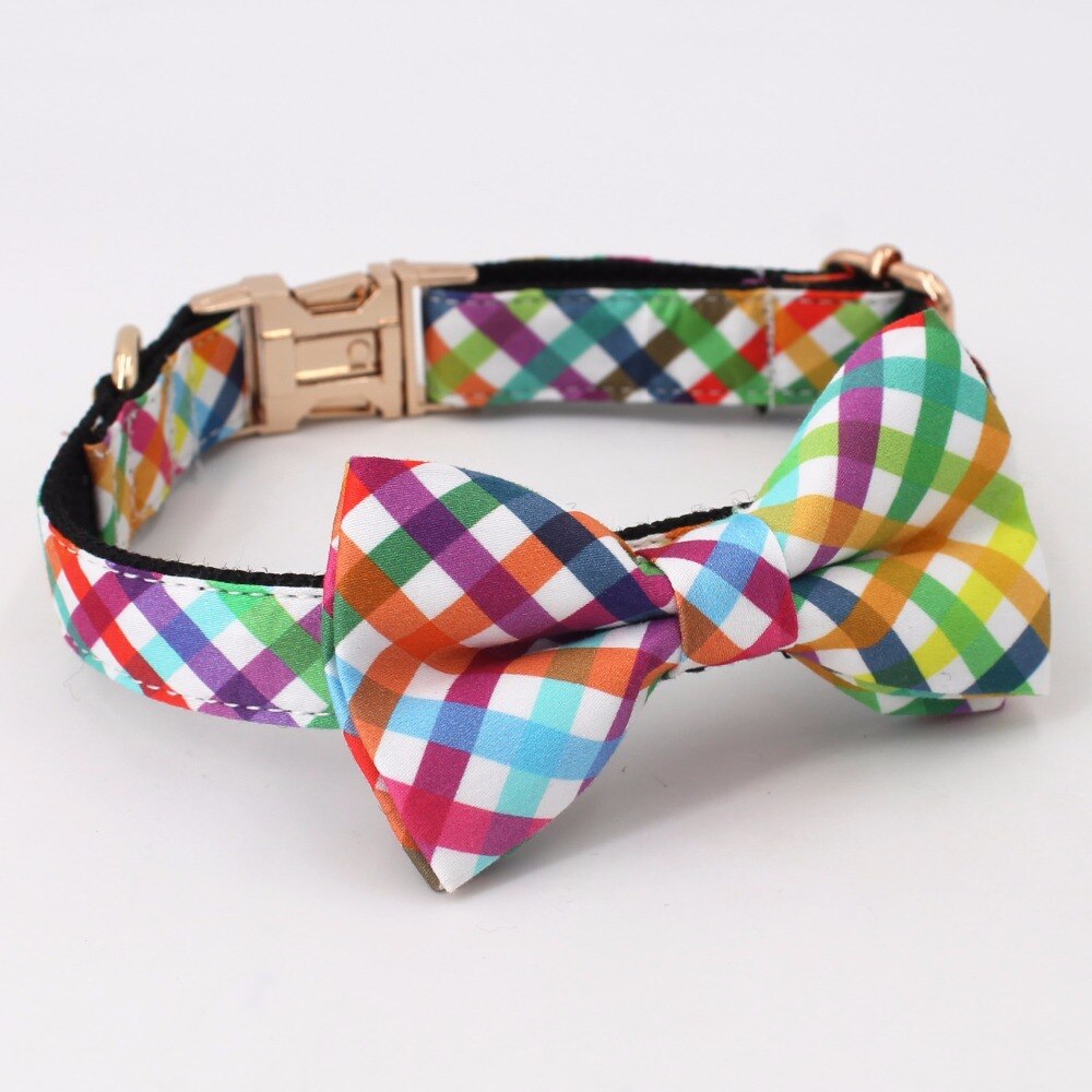 Fashion Colorful Personalized Dog ID Collar Leash set