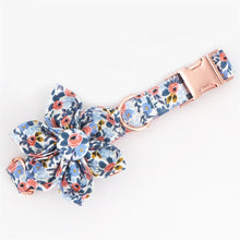 Valentine's Love: Personalized Flower Collar And Leash - CurliTail
