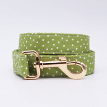 Classic Green Polka Dots Girly Butterfly ID Collar: Personalized - CurliTail
