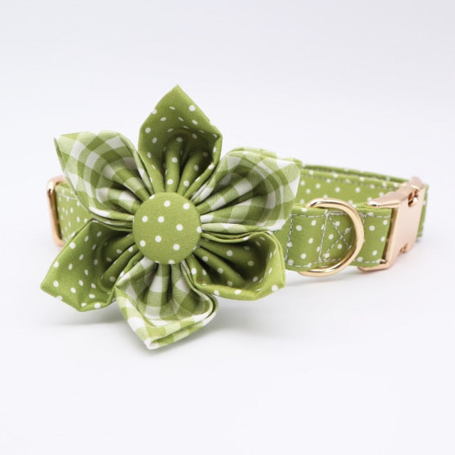 Classic Green Polka Dots Flower Collar And Leash Set: Personalized - CurliTail