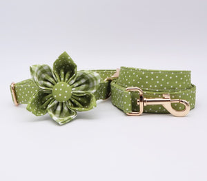 Classic Green Polka Dots Flower Collar And Leash Set: Personalized