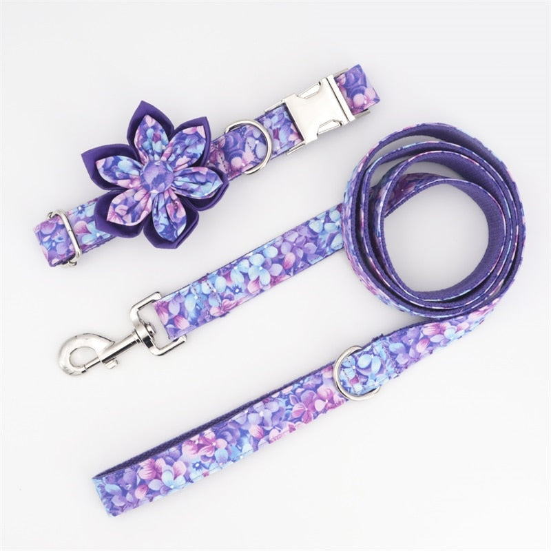 Purple Magic: Personalized Flower Collar And Leash