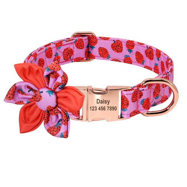 Theme based Fruit Collars for Dogs | Personalized ID Collars