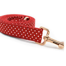 Personalized Polka Dots Pet Collar And Leash - CurliTail