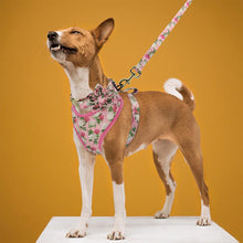 Mesmerizing Florals: Personalized SET - CurliTail