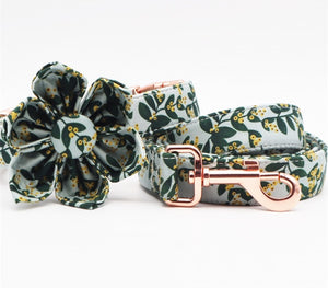 Summer Greens: Personalized Flower Collar And Leash Set