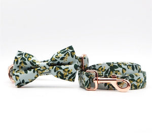 Summer Greens: Personalized Bow Collar And Leash Set
