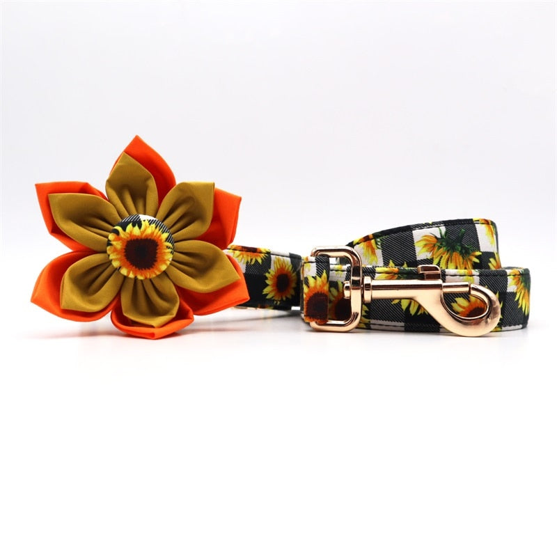 Sunflower and Paws: Personalized Flower Collars, Leashes Set - CurliTail