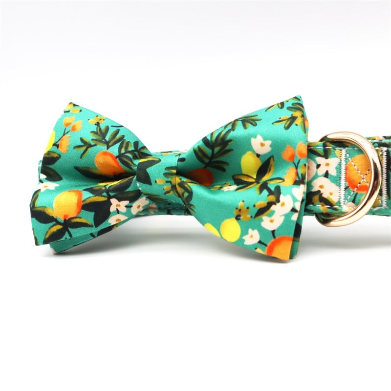 Lemon And Leaves: Personalized Bow Collar And Leash - CurliTail