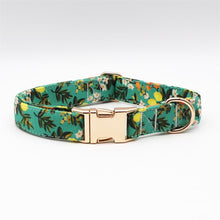 Lemon And Leaves: Personalized Bow Collar And Leash - CurliTail