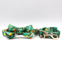 Lemon And Leaves: Personalized Bow Collar And Leash - CurliTail