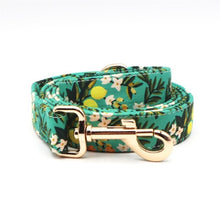 Lemon And Leaves: Personalized Bow Collar And Leash - CurliTail