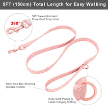 Classy Bow And Leash Set: Personalized Collar And Leash - CurliTail