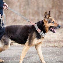 Classy Bow And Leash Set: Personalized Collar And Leash - CurliTail