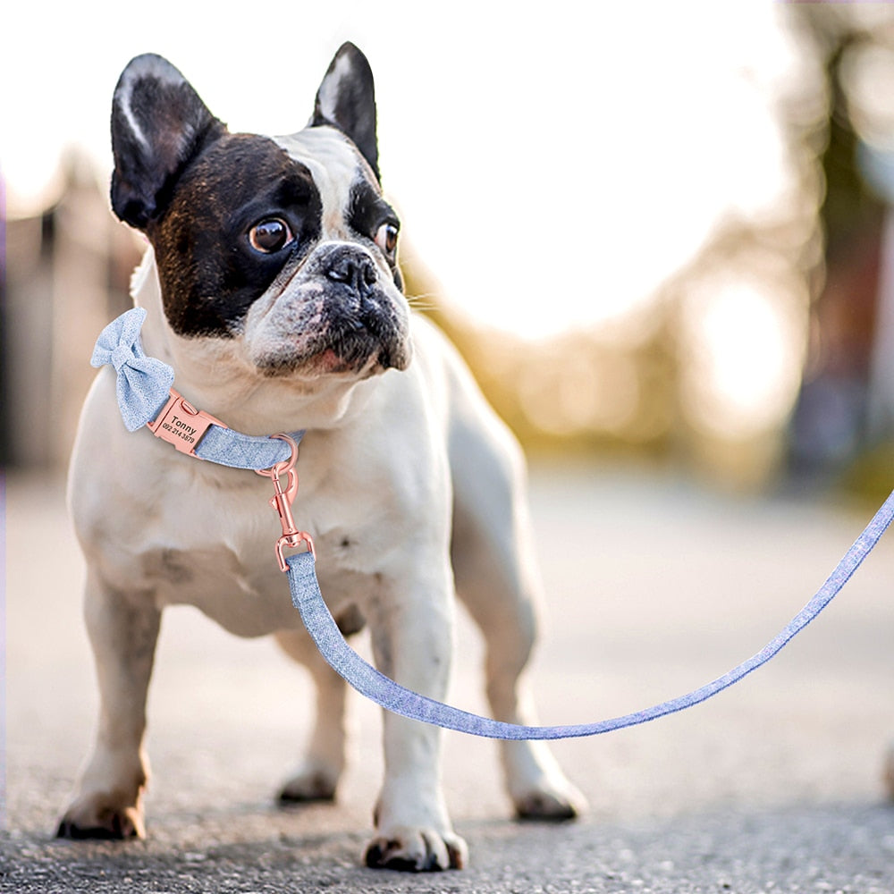 Classy Bow And Leash Set: Personalized Collar And Leash
