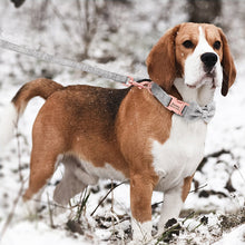 Classy Bow And Leash Set: Personalized Collar And Leash - CurliTail