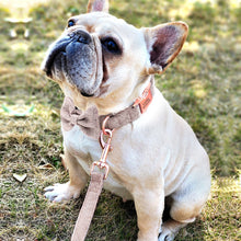 Classy Bow And Leash Set: Personalized Collar And Leash - CurliTail