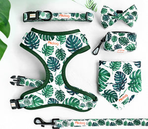Wild Green Leafy - SET | Personalized