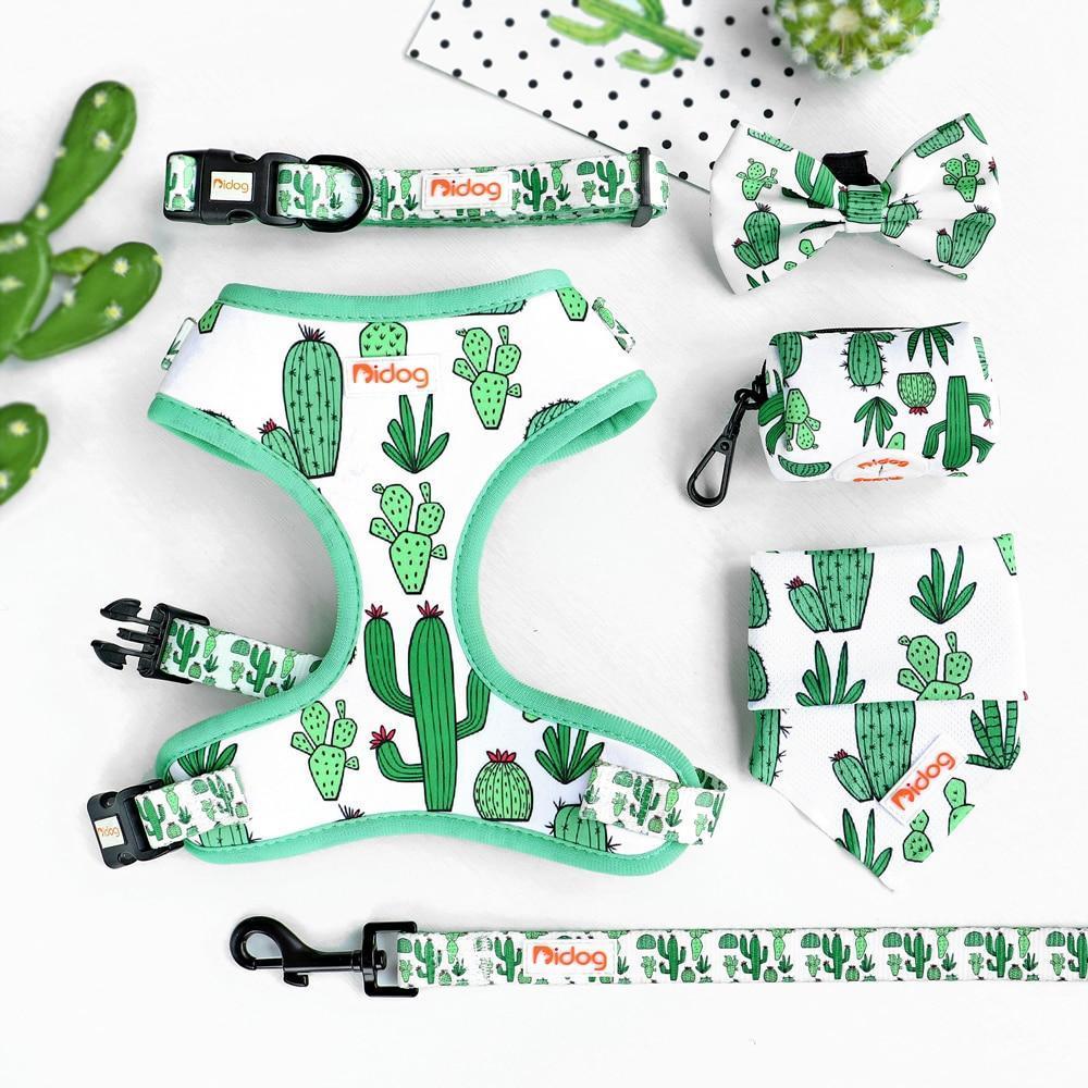 Arid Spiny Cactus - SET | Personalized - CurliTail
