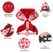 Arid Spiny Cactus - SET | Personalized - CurliTail