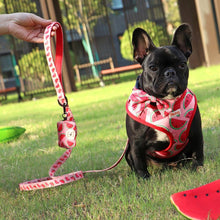 Juicy Watermelon - SET | Personalized - CurliTail