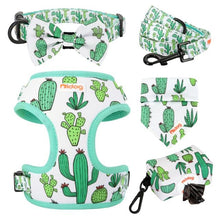 Arid Spiny Cactus - SET | Personalized - CurliTail