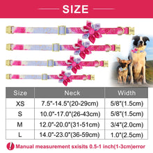 Bubbles And Flowers Personalized Flower Collars - CurliTail