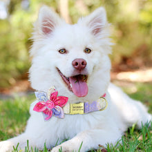 Bubbles And Flowers Personalized Flower Collars - CurliTail