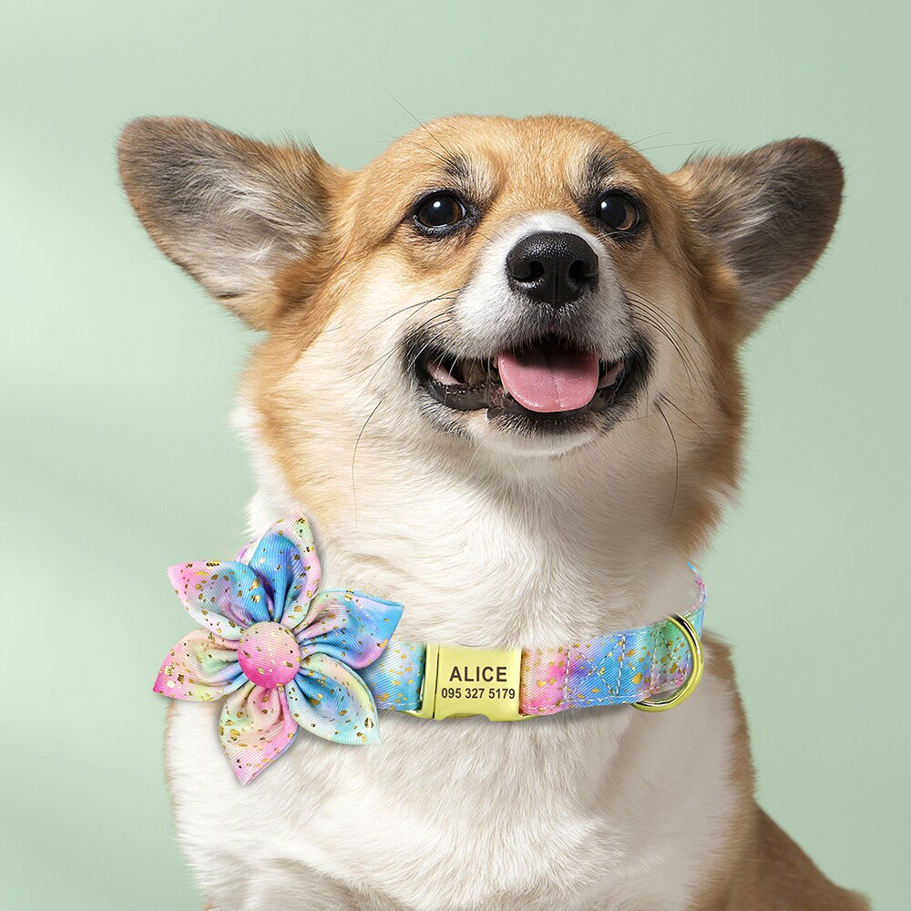 Bubbles And Flowers Personalized Flower Collars