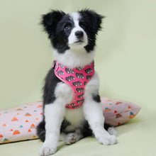 Red WOW/MOM Cheer Box Set | Personalized Set - CurliTail