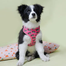 Red WOW/MOM Bow Collar | Personalized Collar And Leash - CurliTail