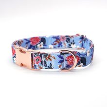 Spring Floral Blue Bow Collar and Leash Set | Personalized - CurliTail