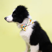 Watercolor Floral Bow Collar | Personalized Bow Collar And Leash - CurliTail
