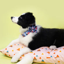 Spring Floral Blue Flower Collar and Leash Set | Personalized - CurliTail