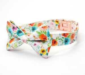 Watercolor Floral Bow Collar | Personalized Bow Collar And Leash