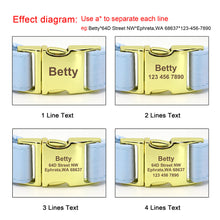 Barky Brown Butterfly Collar With Flower Set- Personalized - CurliTail