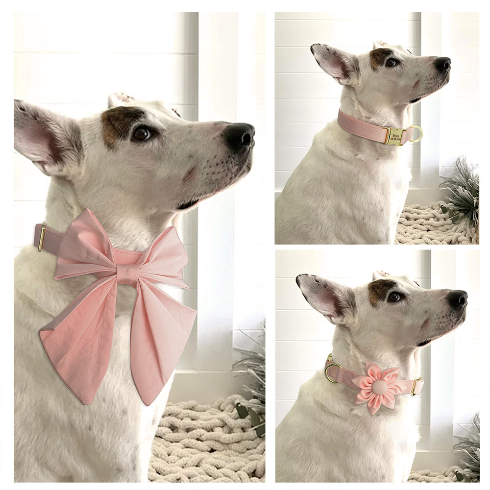 Peach Orange Butterfly Collar With Flower- Personalized
