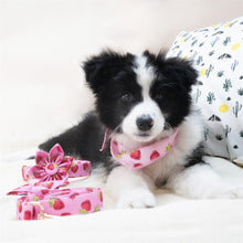 Rosy Pink Strawberry Flower Collar and Leash Set | Personalized - CurliTail