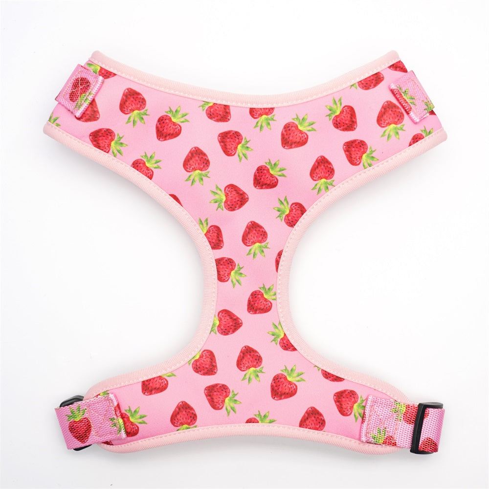 Rosy Strawberries Set: Personalized Collar, Leash, Harness and Bandana - CurliTail