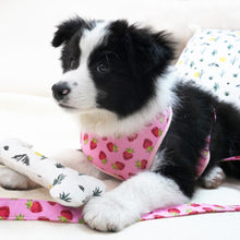 Rosy Strawberries Set: Personalized Collar, Leash, Harness and Bandana - CurliTail