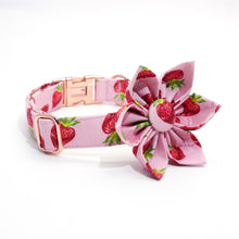 Rosy Strawberries Set: Personalized Collar, Leash, Harness and Bandana - CurliTail