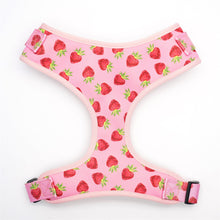 Rosy Strawberries Set: Personalized Collar, Leash, Harness and Bandana - CurliTail