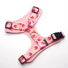 Rosy Strawberries Set: Personalized Collar, Leash, Harness and Bandana - CurliTail