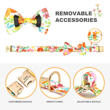 Multidesign Bowtie Dog Collar: Personalized Accessory in multiple colors - CurliTail
